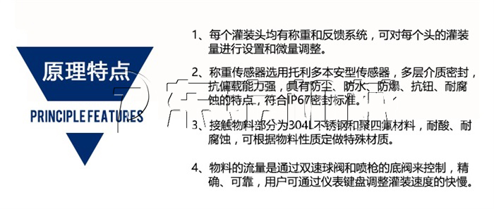 稱重式食用油灌裝機(jī)原理特點(diǎn)